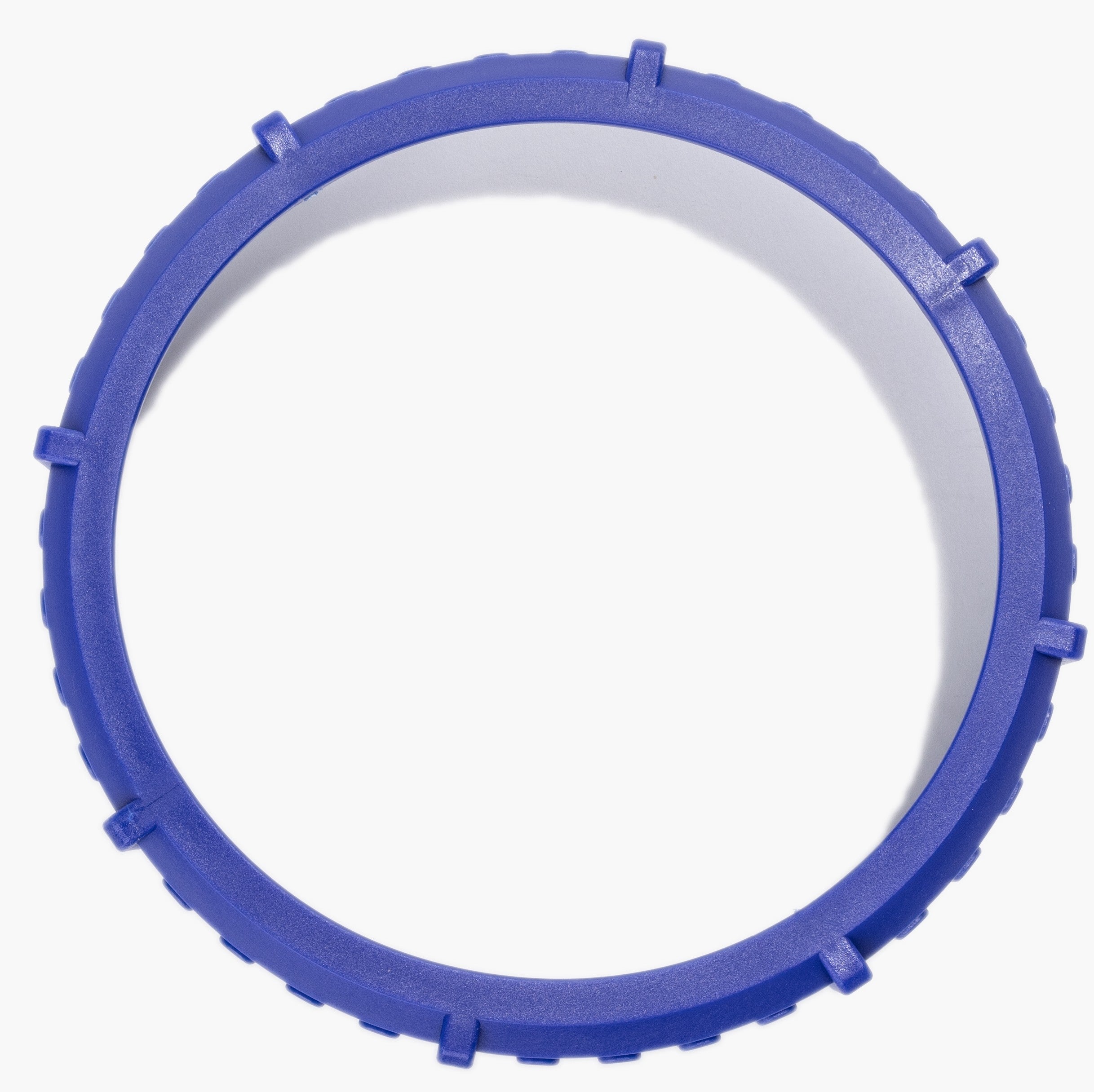 Filter Cap retainer for 2500gal Filter Pump