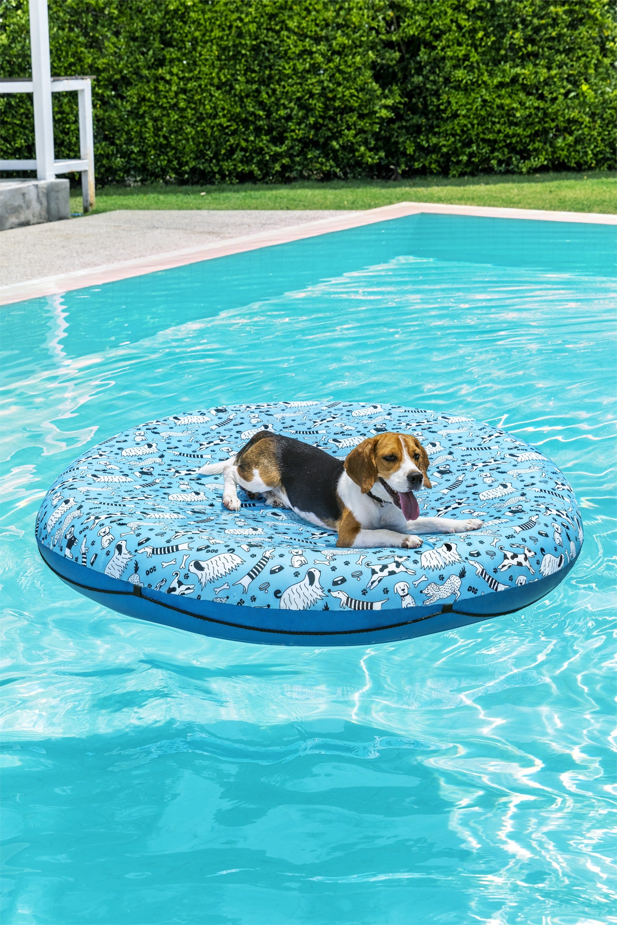 H2OGO 55 in. Multicolor Dog Pool Float with Puncture Resistant Fabric Cover